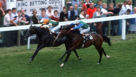 Kalaglow and Greville Starkey (left) just get the better of Assert and Pat Eddery in the 1982 King George at Ascot