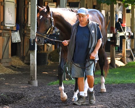 Forte walking through the Pletcher shed at the Saratoga Raceway in Saratoga Springs, New York, on August 7, 2022.