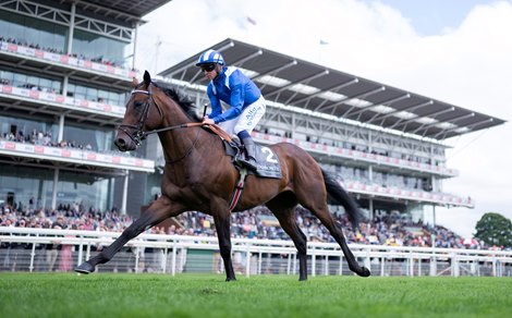 Baaeed and Jim Crowley go to post for the Juddmone International<br>
York 17.8.22 Pic: Edward Whitaker