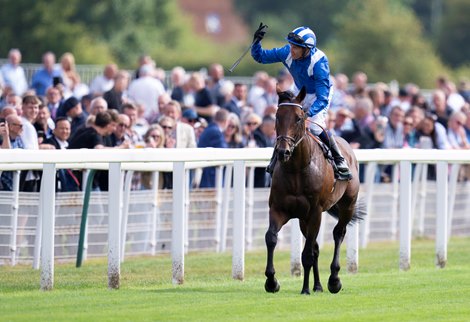 Baaeed and Jim Crowley acknowledge the crowd after the Juddmone International<br>
York 17.8.22 Pic: Edward Whitaker