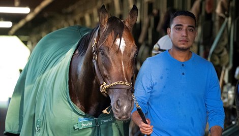 Olympiad<br>
Training in Saratoga at Saratoga Race Course in Saratoga Springs, N.Y., on Aug. 3, 2022.