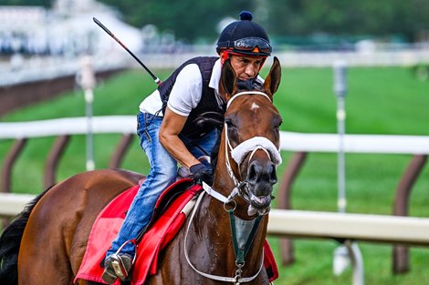 Letruska gallops at Saratoga Race Course