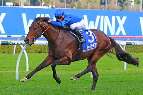 Anamoe wins the 2022 Winx Stakes at Randwick Racecourse<br>
ridden by James McDonald and trained by James Cummings