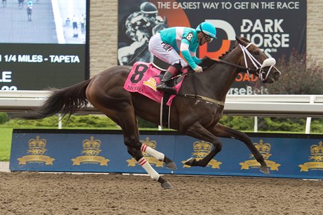 Rafael Hernandez instructs Moira to win the 163rd run with a $1,000,000 stake.  Moira is owned by X-Men Racing, Madaket Stables LLC, and SF Racing LLC and is trained by Kevin Attard.
