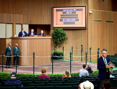 Hip 87 a yearling filly by Gun Runner out of Tip At Tapit, was consigned to the Keeneland September Yearling Sale on Sept. 12, 2022, at Keeneland in Lexington, KY.