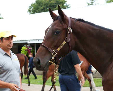 Hip 131 Amagansett 21 by Uncle Mo out of Amagansett, by Tapit, at the Stone Farm consignment at Keeneland September Yearling sale on September 11, 2022.