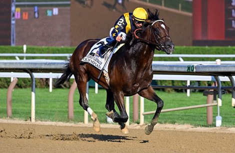 Olympiad Back to Winning Ways in Jockey Club Gold Cup
