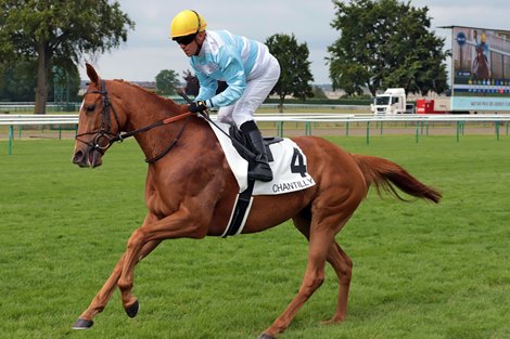 05.06.2022, Chantilly, Hot Queen with Gregory Benoist at Chantilly racecourse, FRA. Photo GALOPPFOTO/Racingfotos.com</p></p>
<p><p>THIS IMAGE IS SOURCED FROM AND MUST BE BYLINED &quot;RACINGFOTOS.COM&quot;