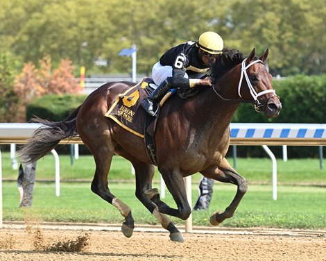 Quick Hammer - Maiden Win, Belmont At The Big A, September 16, 2022