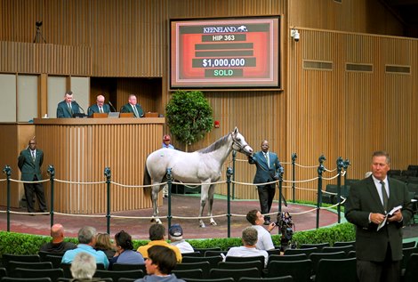 Hip 363 a yearling colt by Into Mischief out of Not in Jest, was consigned to the Keeneland September Yearling Sale on Sept. 13, 2022, at Keeneland in Lexington, KY.