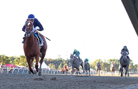 Society wins the Cotillion Stakes at Parx Racing