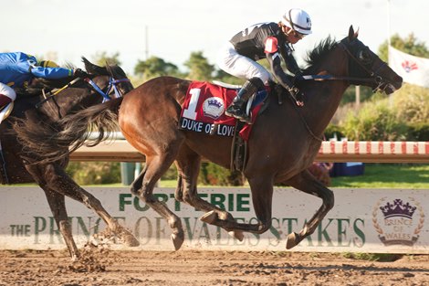 Jockey Justin Stein guides Duke of Love to victory in the $400,000 Prince of Wales Stakes.Duke of Love is owned by Myracehorse.com and trained by Hall of fame trainer Josie Carroll.Duke of Love covered the 1Mi.3/16 over a sloppy track in 1.58.