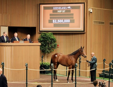 Hip 97, 2022 Keeneland September Yearling Sale
