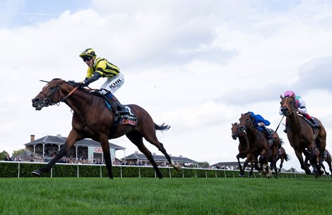 Eldar Eldarov (David Egan) wins the St Leger<br><br />
Doncaster 11.9.22 Pic: Edward Whitaker
