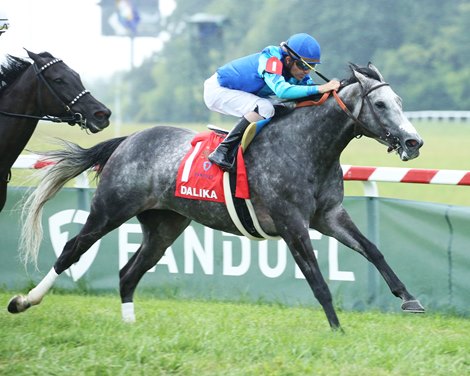 Dalika wins 2022 Kentucky Downs Ladies Turf Stakes at Kentucky Downs