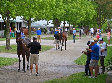 Hip 257 colt by Medaglia d&#39;Oro out of Gamble&#39;s Ghost at Gainesway, agent<br><br />
Scenes at Keeneland September Sale on Sept. 10, 2022.