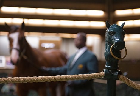 ring scene<br><br />
Scenes at Keeneland September Sale on Sept. 20, 2022.