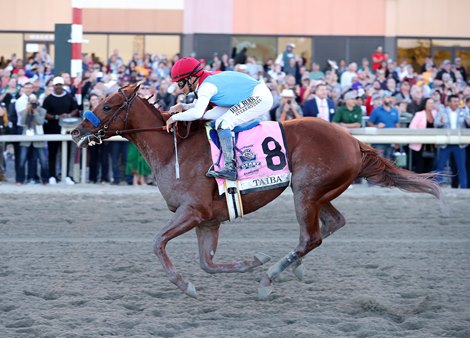 Taiba #8 with Mike Smith riding won the $1,000,000 Grade 1 Pennsylvania Derby at Parx Racing in Bensalem, Pennsylvania on September 24, 2022. Photo By Bill Denver/EQUI-PHOTO