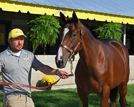 Hip 320 colt by Constitution out of Life Well Lived at Stone Farm, agent<br><br />
Scenes at Keeneland September Sale on Sept. 9, 2022.
