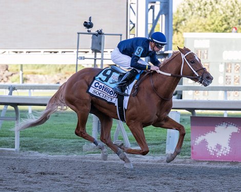 Society #9 with Florent Geroux riding won the $1,000,000 Grade 1 Cotillion Stakes at Parx Racing in Bensalem, Pennsylvania on September 24, 2022. Photo By Joe Labozzetta/EQUI-PHOTO