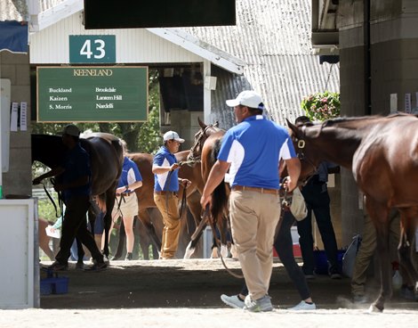 Scenics,  2022 Keeneland September Yearling Sale