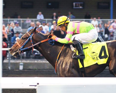 Surly Furious Wins 2022 Presque Isle Mile Stakes at Presque Isle Downs