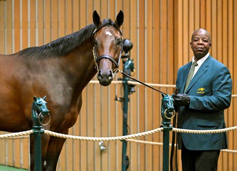 Hip 205 a yearling filly by Medaglia d&#39;Oro out of Dazzletown, was consigned to the Keeneland September Yearling Sale on Sept. 13, 2022, at Keeneland in Lexington, KY.