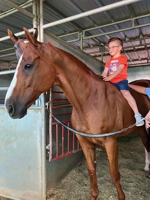 Julian Bourdieu sits atop Success Rate at the barn of trainer Curt Ferguson