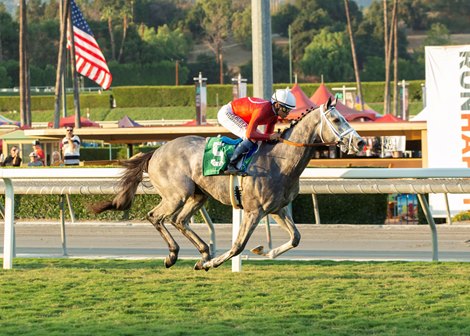 Packs a Wahlop and jockey Mike Smith win the Grade III, $200,000 Zuma Beach Stakes, Sunday, October 9, 2022 at Santa Anita Park, Arcadia CA.<br><br />
&#169; BENOIT PHOTO