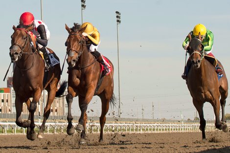 Jockey Patrick Husbands guides Souper Hoity Toity to victory in the $125,000 Ontario Damsel Stakes. Souper Hoity Toity is owned by Live Oak Plantation and trained by Mark Casse.