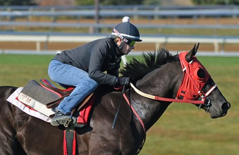 October 15, 2022: Tyler&#39;s Tribe and jockey Kylee Jordan, works <br><br />
3 furlongs in 39.80, on the turf Saturday morning at Keeneland<br><br />
Rick Samuels/The Blood-Horse