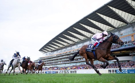 Emily Upjohn (Frankie Dettori) wins the Fillies and Mares<br><br />
Ascot 15.10.22 Pic: Edward Whitaker