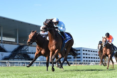 American Apple wins the 2022 Matron Stakes at Belmont At the Big A