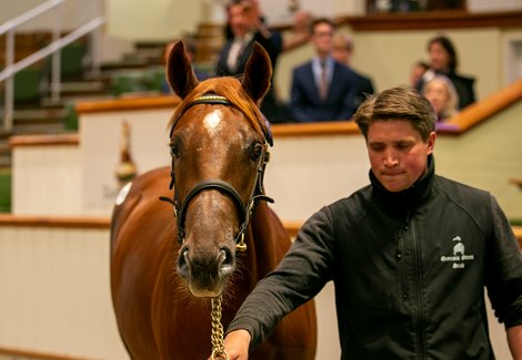 Lot 787 Frankel (GB) / Qaws (GB) Ch.C. (IRE)      Genesis Green Stud    BBA Ireland    700,000   <br><br />
Tattersalls October Yearling Sale Book 2<br><br />
10/10/22