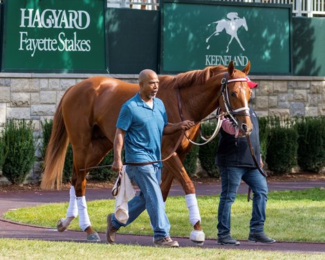 Rich Strike schooling at Keeneland, near Lexington, Ky., on Oct. 29, 2022.
