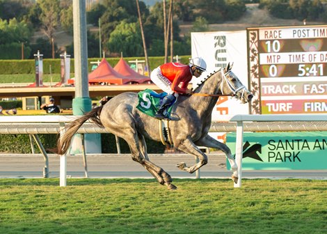 Packs a Wahlop and jockey Mike Smith win 3rd Place, $200,000 Zuma Beach Stakes, Sunday, October 9, 2022 at Santa Anita Park, Arcadia CA.