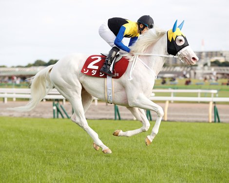 Sodashi finishes second in the 2022 Fuchu Himba Stakes at Tokyo Racecourse