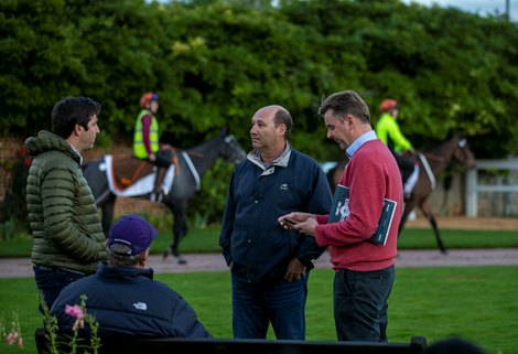 Tim Cohen, Alastair Donald Tattersalls Autumn Horses in Training Sale 25/10/22
