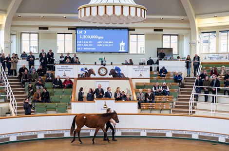 Lot 3 a bay filly by Dubawi x Jazzi Top sells to Godolphin for £1,300,000 Guineas on day 1 of Tattersalls October Yearling Sale Book 1 Newmarket 4.10.22 Pic: Edward Whitaker