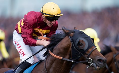 Bayside Boy (Tom Marquand) wins the QEII Stakes<br><br />
Ascot 15.10.22 Pic: Edward Whitaker