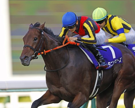Stunning Rose wins the Shuka Sho on Sunday, October 16, 2022 at Hanshin Racecourse