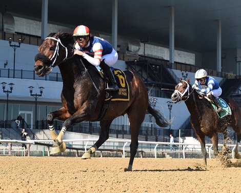 My Boy Tate wins the 2022 Hudson Stakes at Belmont At The Big A