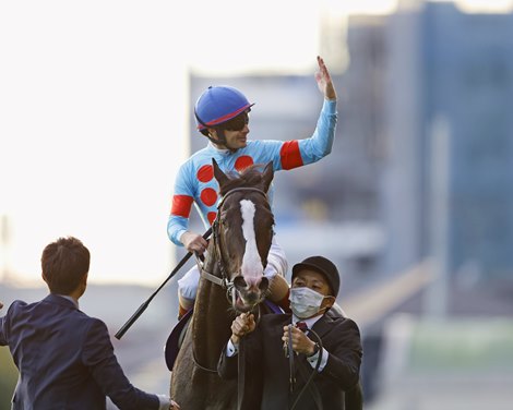 Equinox wins the 2022 Autumn Tenno-Sho at Tokyo Racecourse
