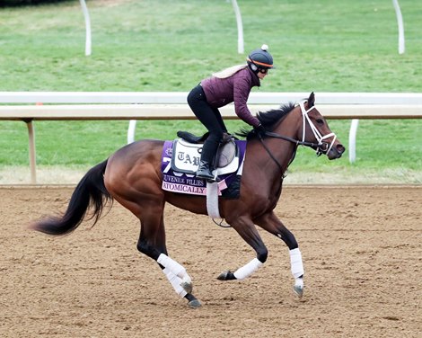 Atomically - Gallop - Keeneland - 10-30-22