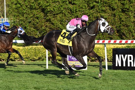 King Cause wins Knickerbocker Stakes on Sunday, October 9, 2022 in Belmont at The Big A