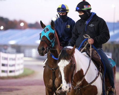 Slammed - Work - Keeneland - 102022