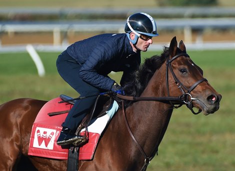 October 8, 2022: Mira Mission working on the Keeneland turf Saturday morning