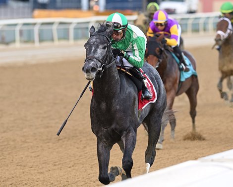 Arctic Arrogance wins 2022 Sleepy Hollow Stakes at Belmont at the Big A