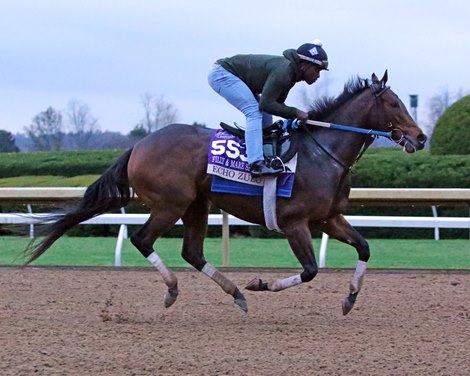 CE CE VIES to keep BC Stutfoption & Mare Sprint Crown