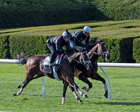 (L-R): Major Dude (outside with Carlos Quevedo) and Annapolis (with Hector Ramos)<br><br />
Training at Keeneland on Oct. 21, 2022.
